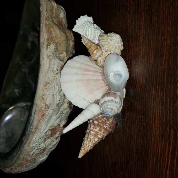 Hand crafted seashell Mermaid 🧜‍♀️ hair accessory - Picture 1 of 3